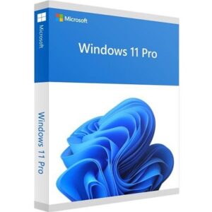 Log Mic Windows 11 Pro 64 Bit